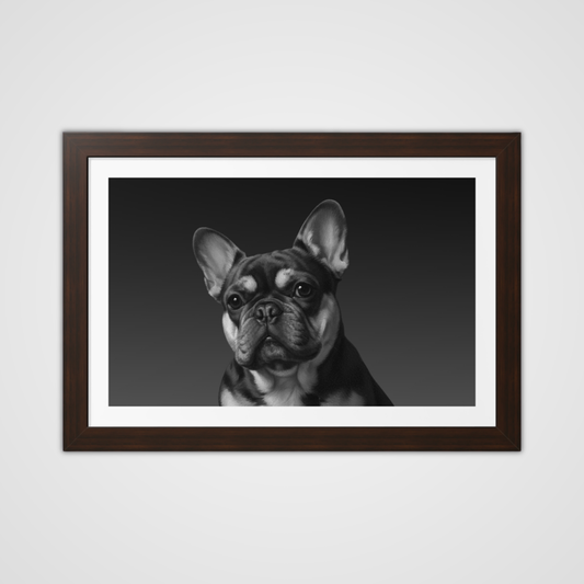 Framed Black & White Paint-Style