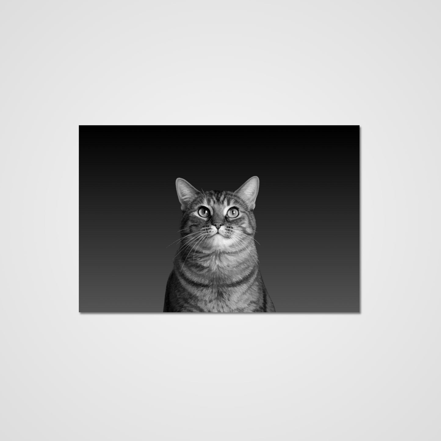 Unframed Black & White Paint-Style Print